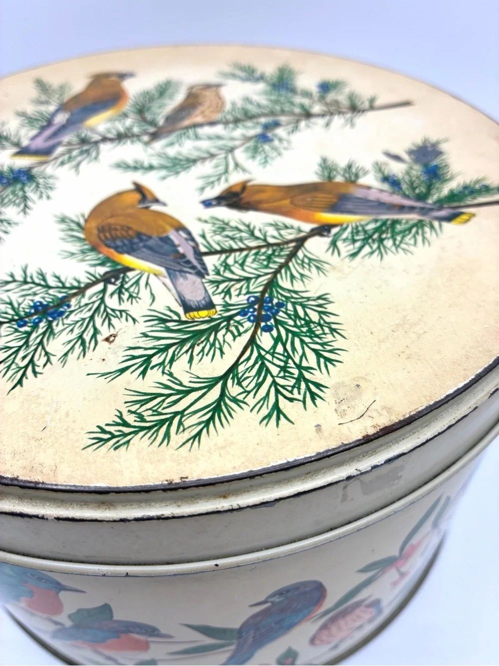 Vintage Tom Sturgis Bird Tin Round Metal Storage Box Cottagecore